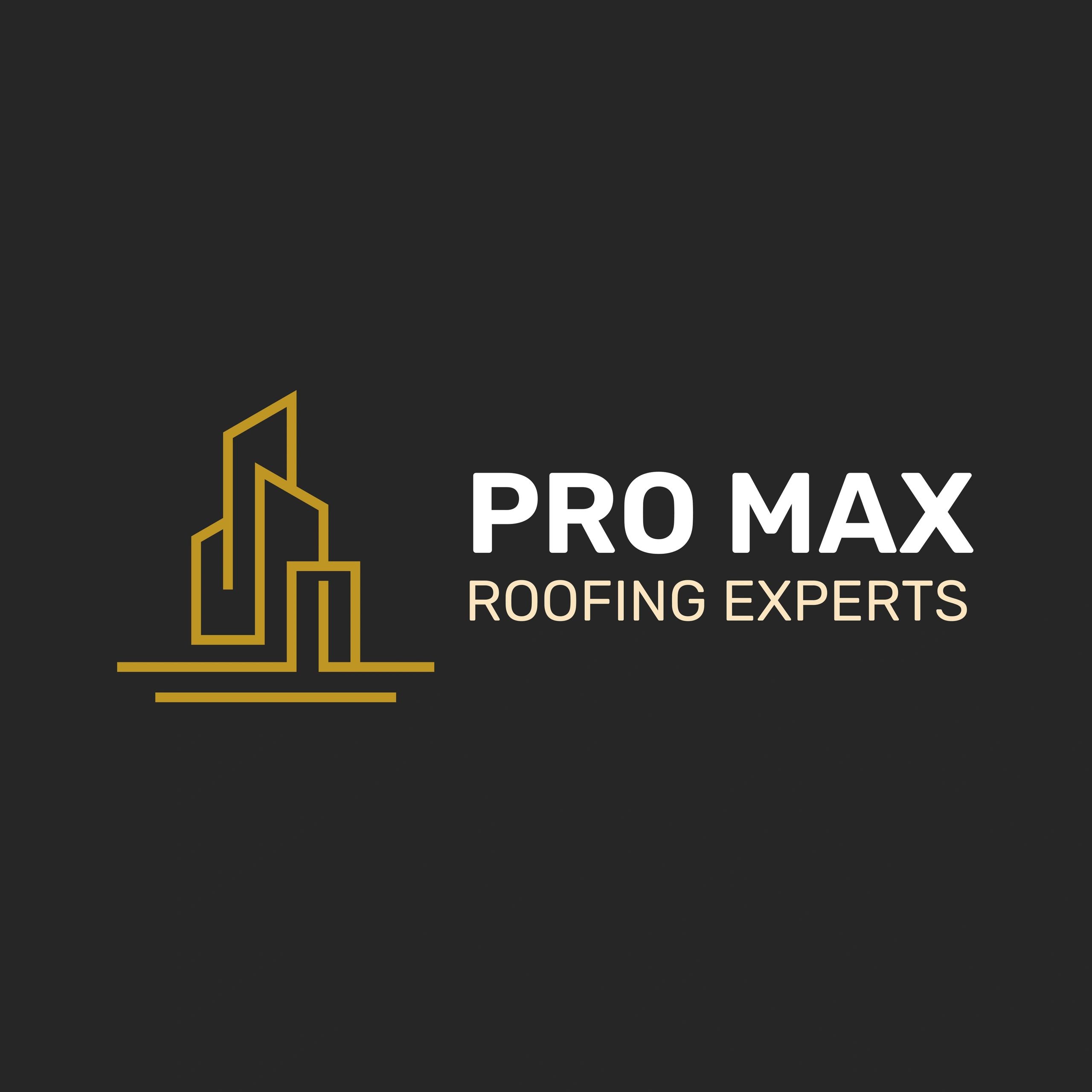 Pro Max Roofing Experts